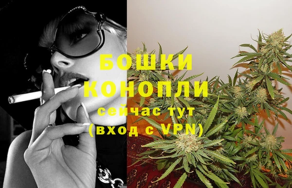 PSILOCYBIN Беломорск