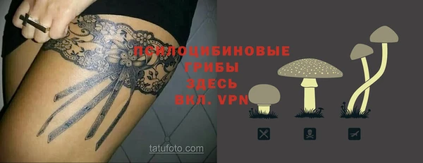 шишки Бородино