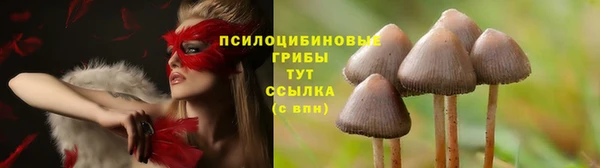 кокаин колумбия Богородицк